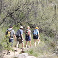 Tucson-Esperero Trail 05
